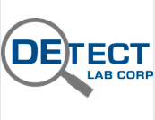 Detect Lab Logo