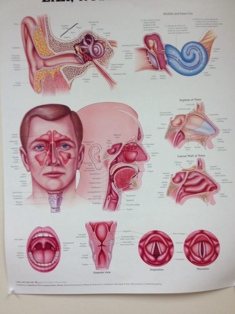 Clinic office (1)