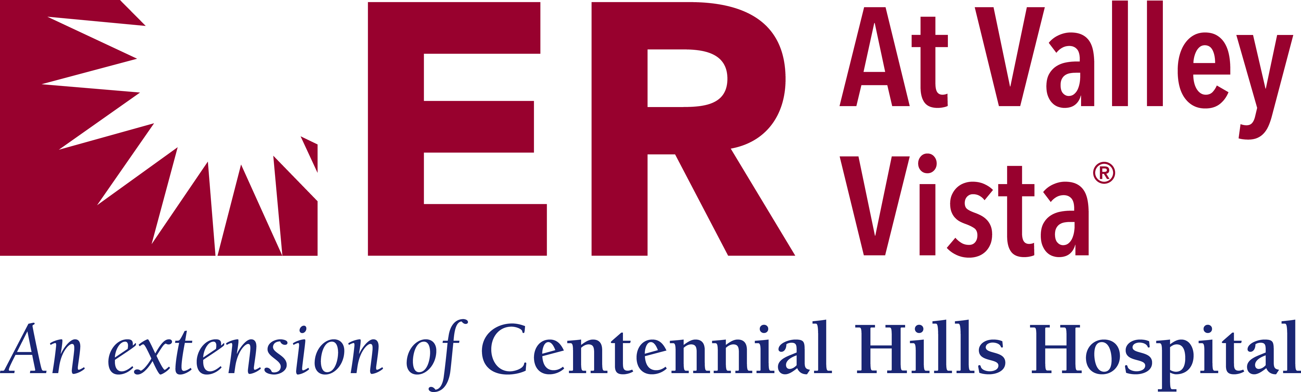 ER at Valley Vista Logo