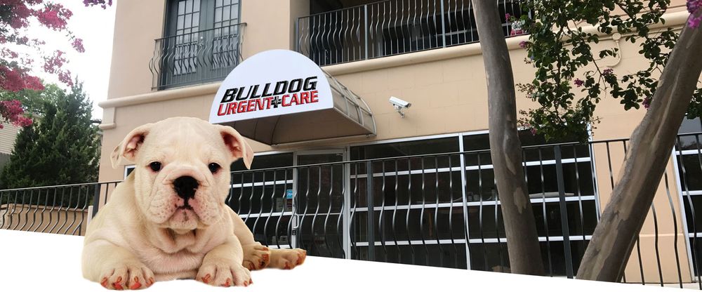 Bulldog Urgent Care Reviews Tricheenlight
